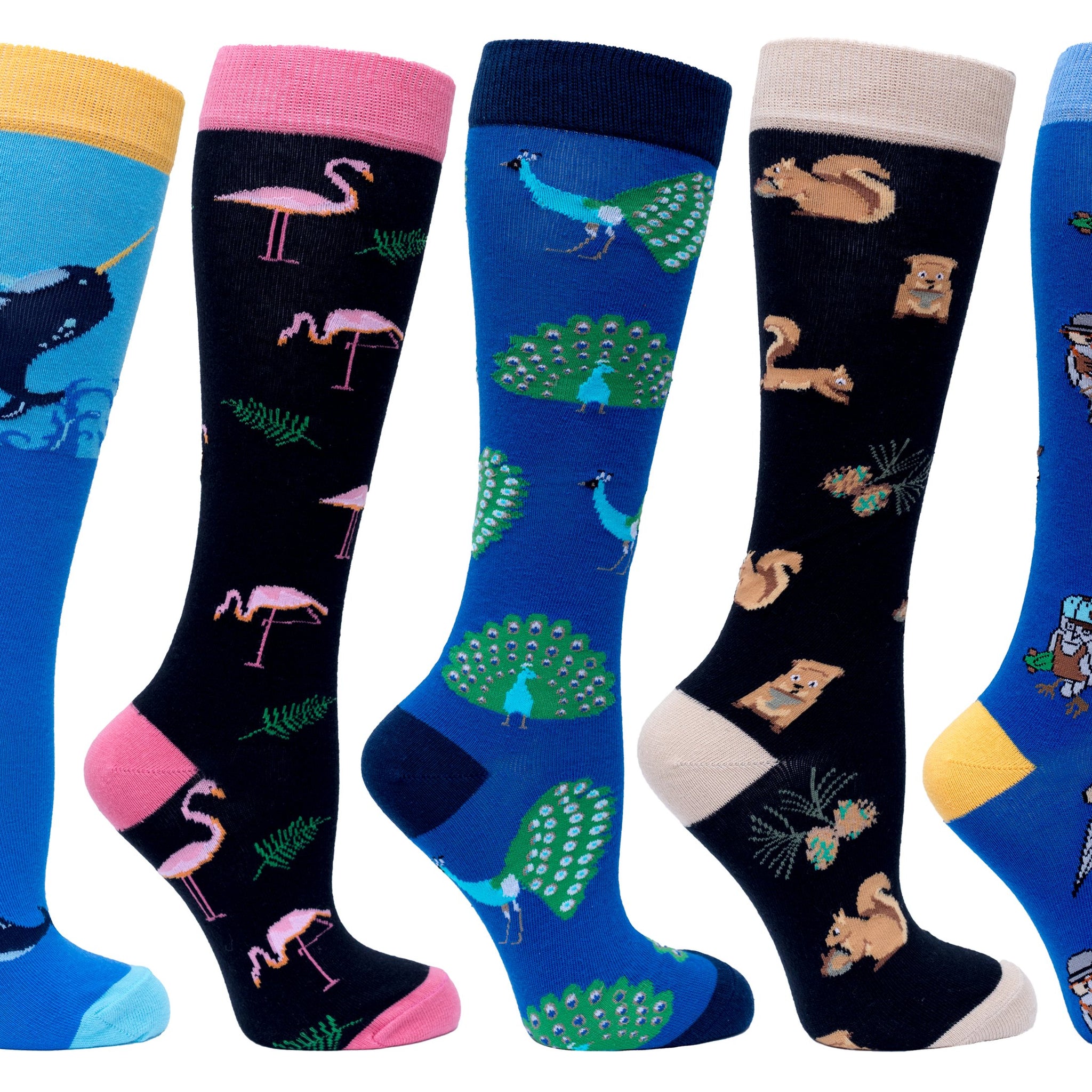 Women's Animal Planet Knee High Socks Set