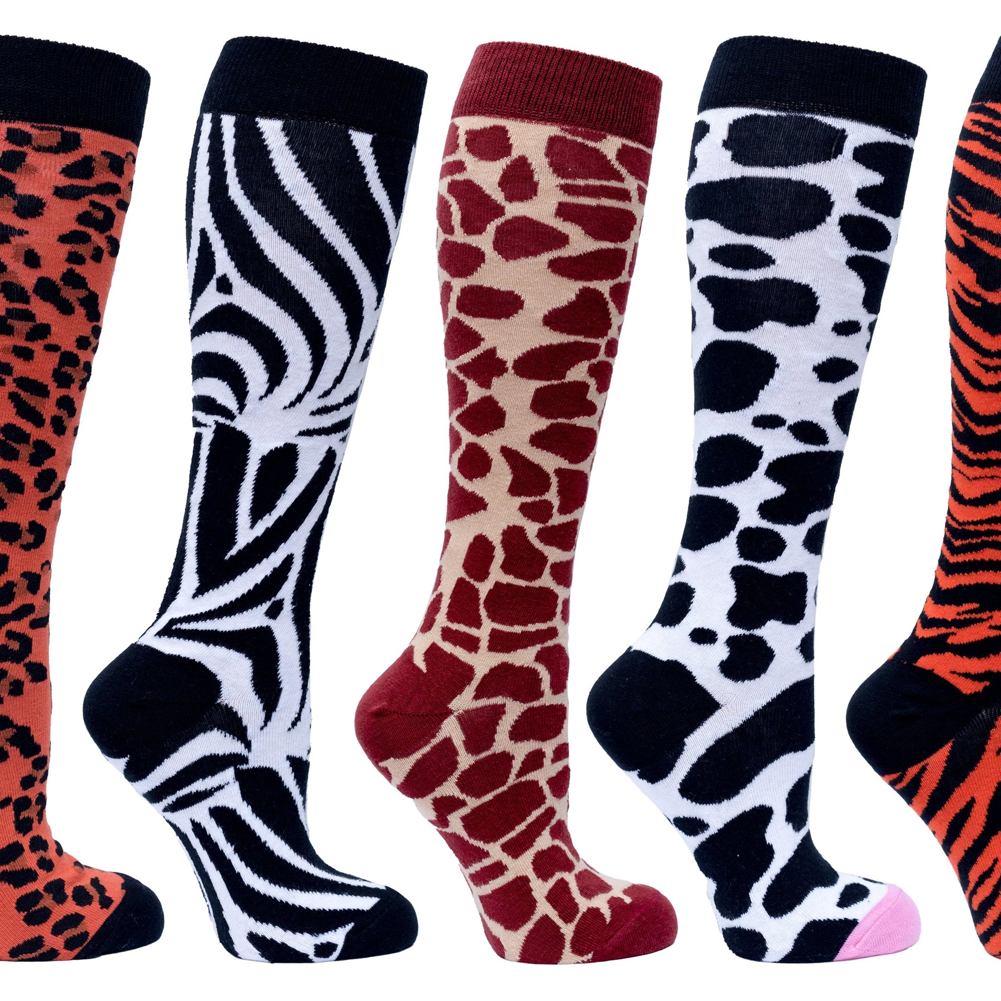 Women's Animal Kingdom Knee High Socks Set