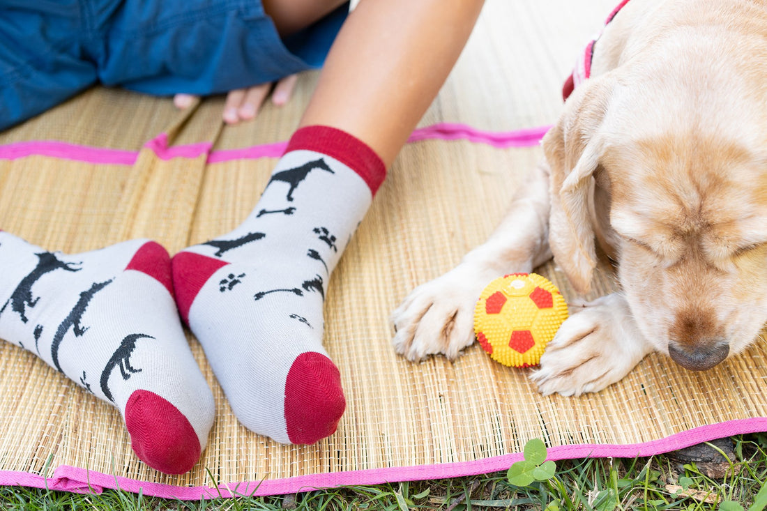 Kids Shadow Dog  Socks