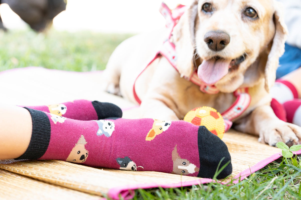 Kids Cute Dogs Socks