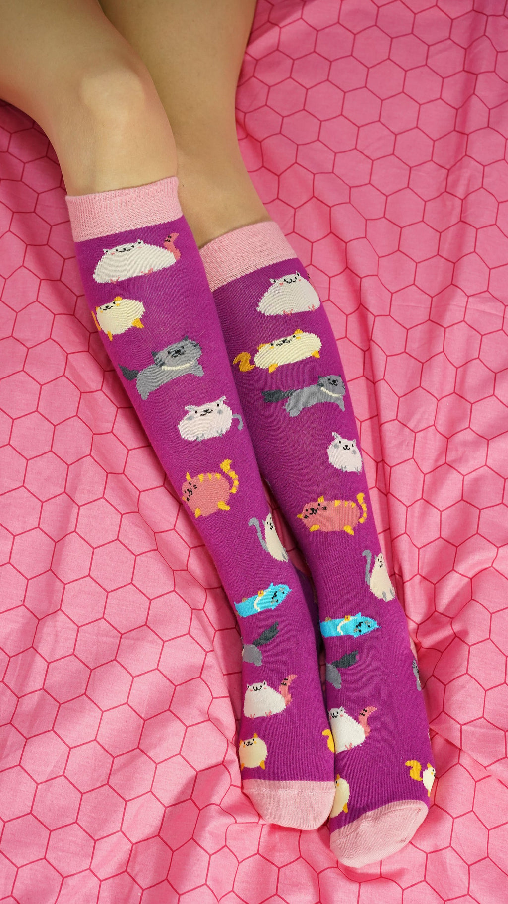 Women's Fatty Cats Knee High Socks
